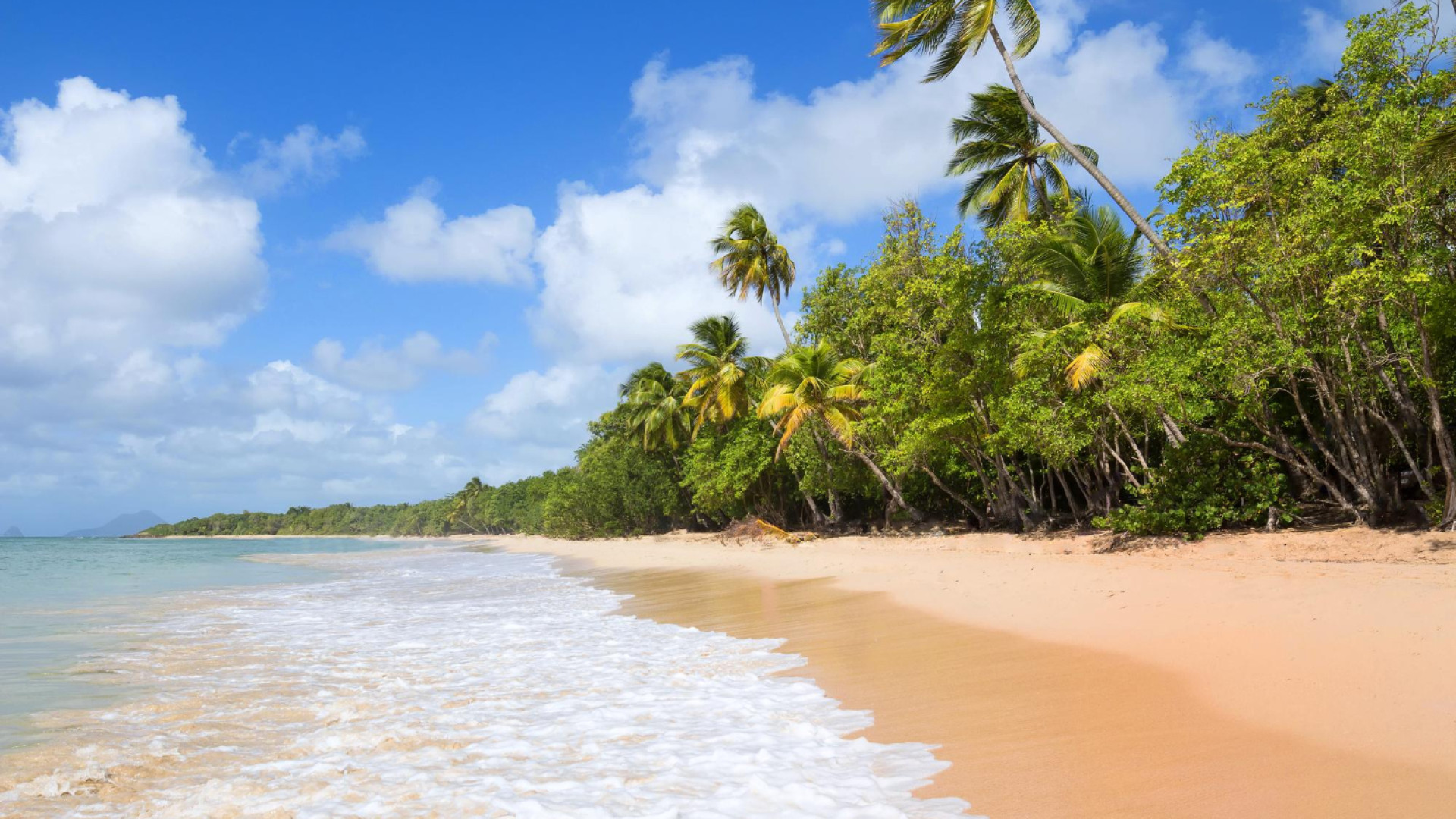 Comment la location de voitures facilite vos vacances en Martinique ?